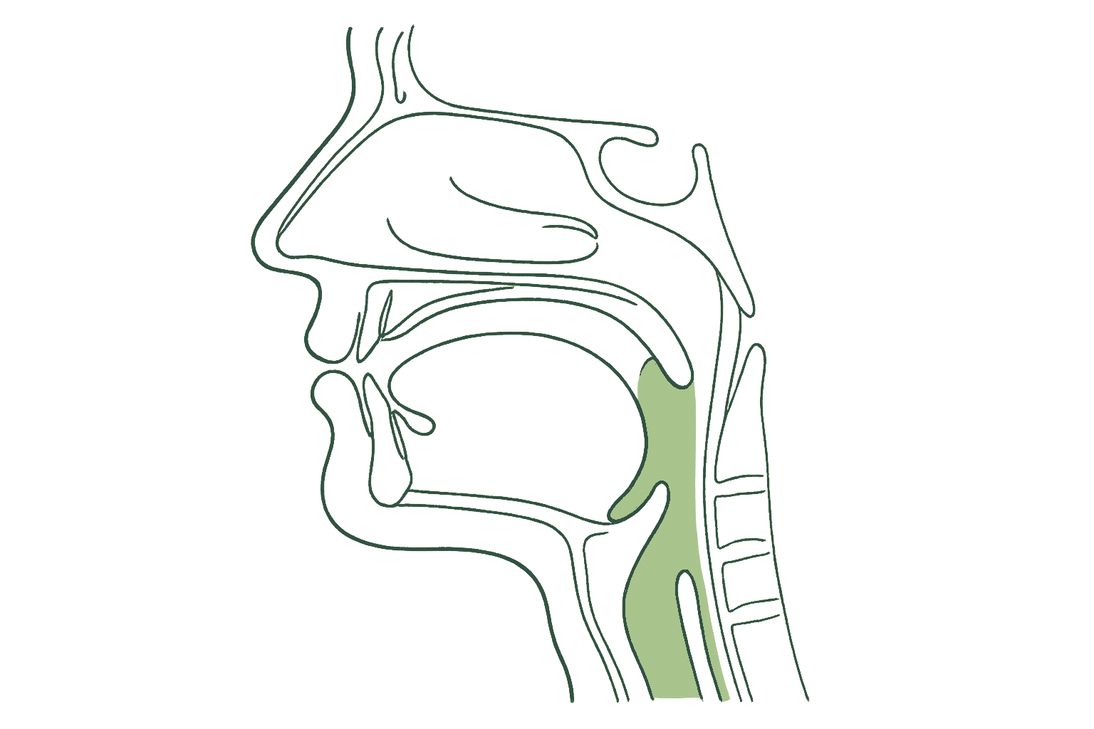 A clear, open and supported airway