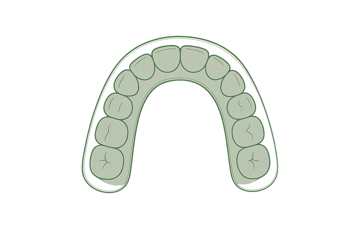 Line illustration of a dental arch with a clear aligner